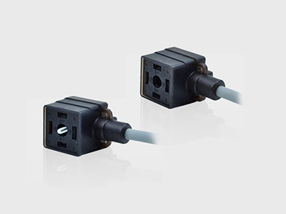 Das elektromagnetische Ventil